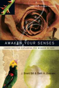 Imagen de portada: Awaken Your Senses 9780830835607