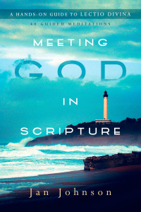 صورة الغلاف: Meeting God in Scripture 9780830846221