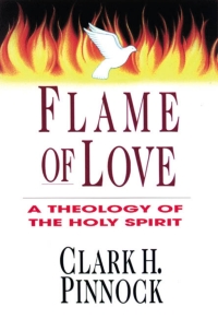 Cover image: Flame of Love 9780830815906