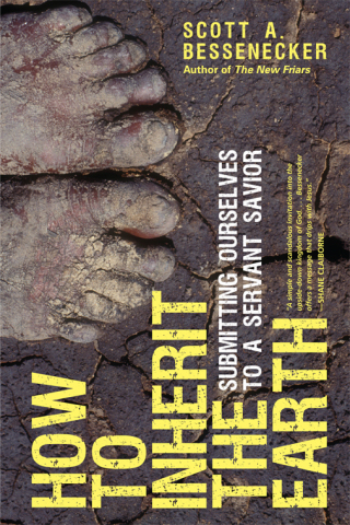 Omslagafbeelding: How to Inherit the Earth 9780830837281