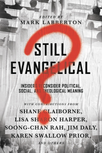 Imagen de portada: Still Evangelical? 9780830845378
