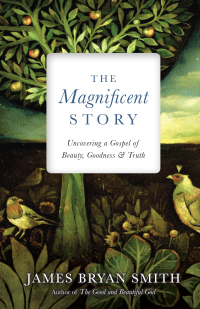Cover image: The Magnificent Story 9780830846368