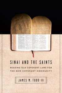 Imagen de portada: Sinai and the Saints 9780830851621