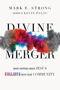 Cover image: Divine Merger 9780830844524
