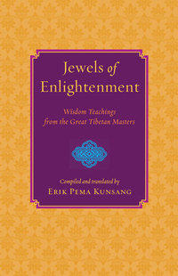 Cover image: Jewels of Enlightenment 9781590301791