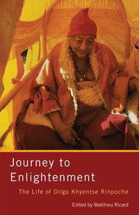 Cover image: Journey to Enlightenment
