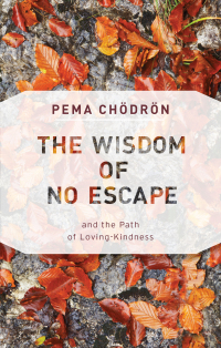 Cover image: The Wisdom of No Escape 9781570628726