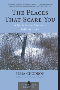 Cover image: The Places That Scare You 9781570629211
