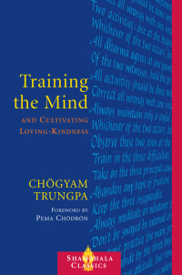 Cover image: Training the Mind and Cultivating Loving-Kindness 9781590300510