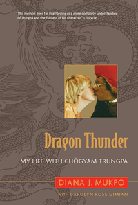 Cover image: Dragon Thunder 9781590305348
