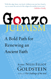 Cover image: Gonzo Judaism 9781590307687