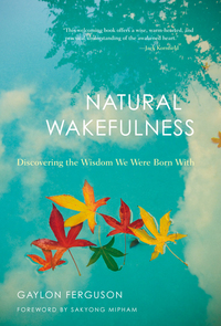 Cover image: Natural Wakefulness 9781590307694