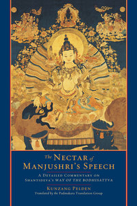 Cover image: The Nectar of Manjushri's Speech 9781590306994