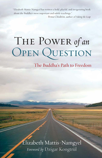 Cover image: The Power of an Open Question 9781590307991