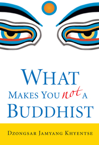 Cover image: What Makes You Not a Buddhist 9781590305706