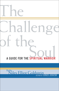 Cover image: The Challenge of the Soul 9781590306604