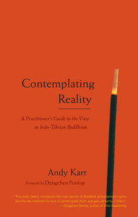 Cover image: Contemplating Reality 9781590304297
