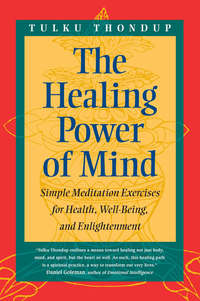 Cover image: The Healing Power of Mind 9781570623301