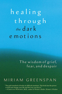 Cover image: Healing through the Dark Emotions 9781590301012