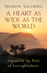 Cover image: A Heart as Wide as the World 9781570624285