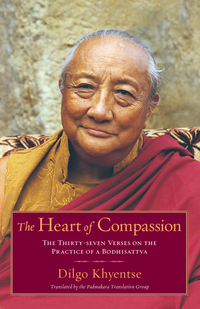 Cover image: The Heart of Compassion 9781590304570