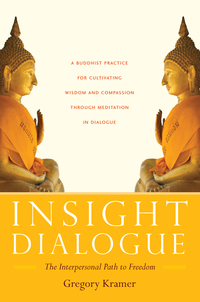 Cover image: Insight Dialogue 9781590304853