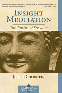 Cover image: Insight Meditation 9781590300169