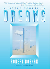 Cover image: A Little Course in Dreams 9781570623868