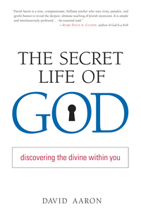 Cover image: The Secret Life of God 9781590302392