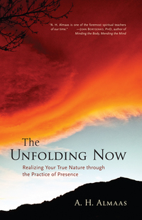 Cover image: The Unfolding Now 9781590305591