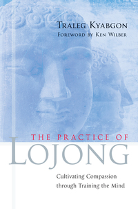 Cover image: The Practice of Lojong 9781590303788