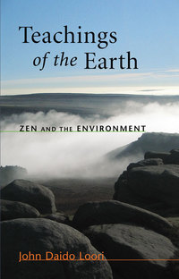 Cover image: Teachings of the Earth 9781590304907
