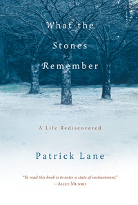Cover image: What the Stones Remember 9781590303894