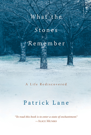 Cover image: What the Stones Remember 9781590303894