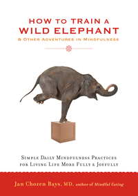 Cover image: How to Train a Wild Elephant 9781590308172