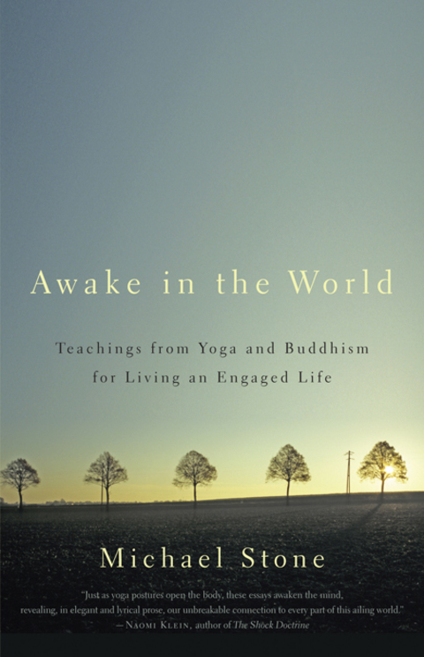 Awake in the World: Teachings from Yoga and Buddhism for Living an Engaged Life - FULL INSTANT DOWNLOAD | PDF DOCX EPUB