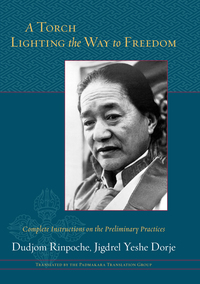 Cover image: A Torch Lighting the Way to Freedom 9781590309094