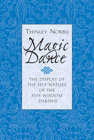 Cover image: Magic Dance 9780877738855