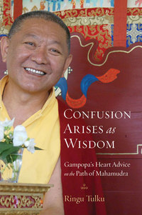 Cover image: Confusion Arises as Wisdom 9781590309957