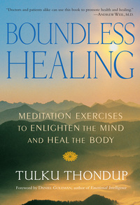 Cover image: Boundless Healing 9781570628788