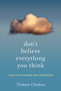 Cover image: Don't Believe Everything You Think 9781559393966