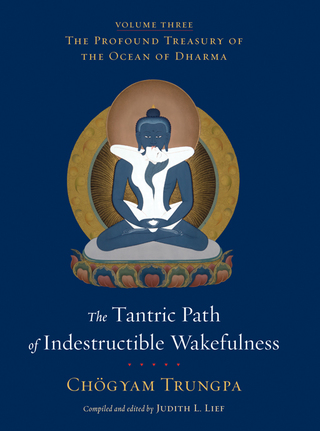 Cover image: The Tantric Path of Indestructible Wakefulness 9781590308042
