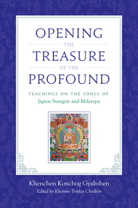 Cover image: Opening the Treasure of the Profound 9781611800708