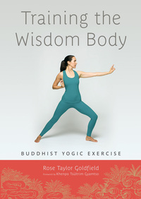 Cover image: Training the Wisdom Body 9781611800180