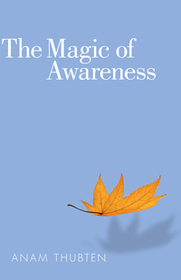 Cover image: The Magic of Awareness 9781559393928