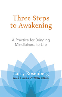 Cover image: Three Steps to Awakening 9781590305164