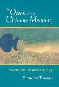 Cover image: An Ocean of the Ultimate Meaning 9781590300558