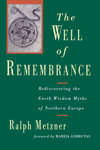Cover image: The Well of Remembrance 9781570626289
