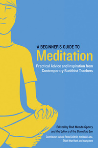Cover image: A Beginner's Guide to Meditation 9781611800579