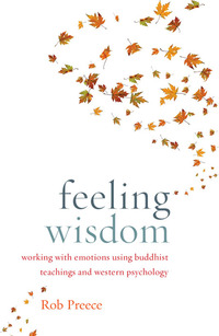 Cover image: Feeling Wisdom 9781611801682